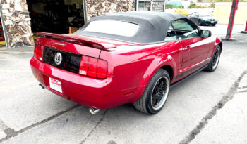 2006 Ford Mustang full