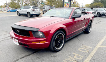 2006 Ford Mustang full