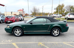 
										2001 Ford Mustang Premium full									