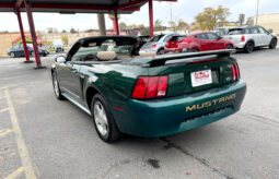 
										2001 Ford Mustang Premium full									
